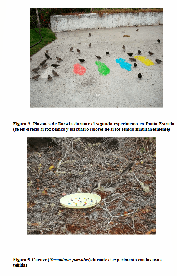 experimento pinzones