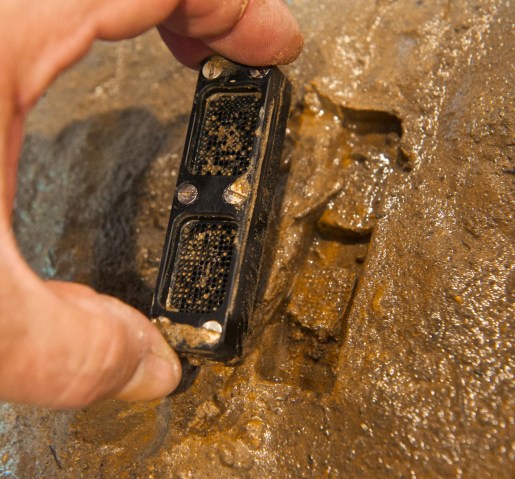 iChip - Slava Epstein-Northeastern University