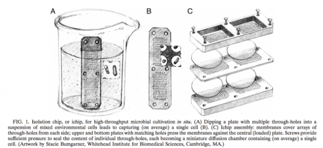 iChip technology – courtesy Slava Epstein, Northwestern University