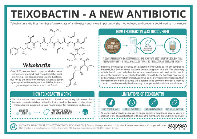 Teixobactin-The-Newly-Discovered-Antibiotic